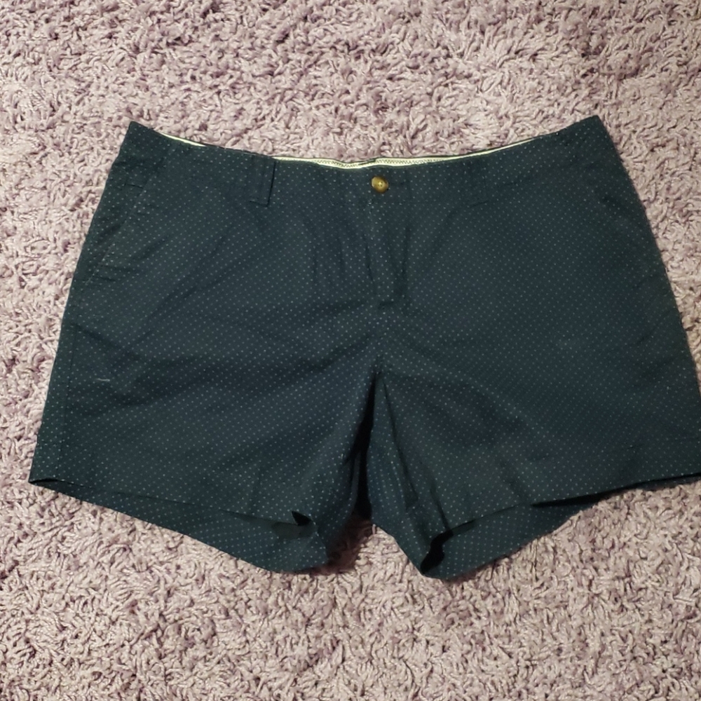 PLUS SIZE NAVY Blue Polka Dot shorts
